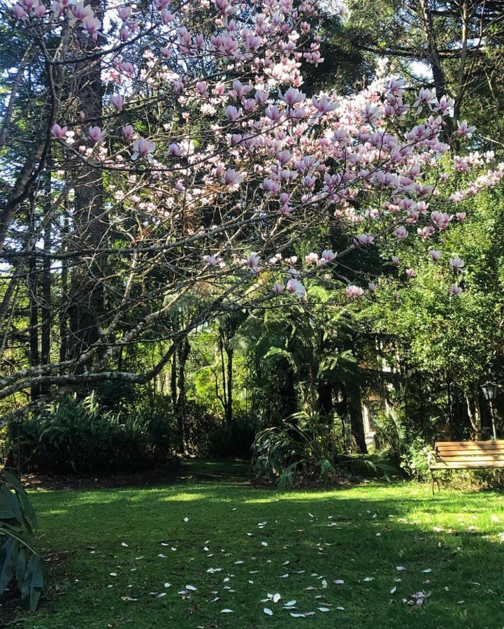 Casa Goldoni Gramado Villa Eksteriør billede