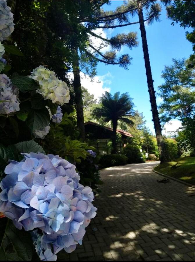 Casa Goldoni Gramado Villa Eksteriør billede